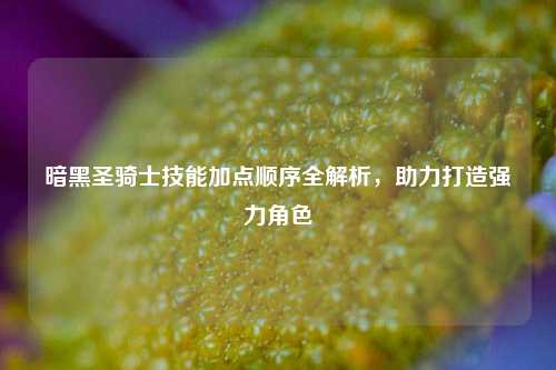 暗黑圣骑士技能加点顺序全解析，助力打造强力角色