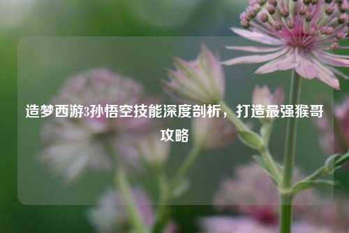 造梦西游3孙悟空技能深度剖析，打造最强猴哥攻略