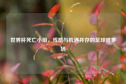 世界杯死亡小组，残酷与机遇并存的足球修罗场