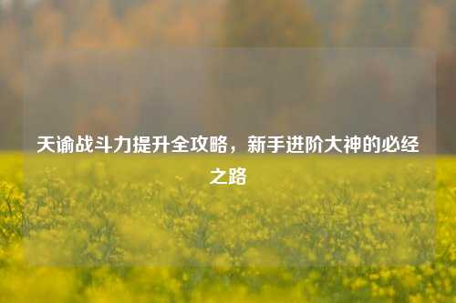 天谕战斗力提升全攻略，新手进阶大神的必经之路