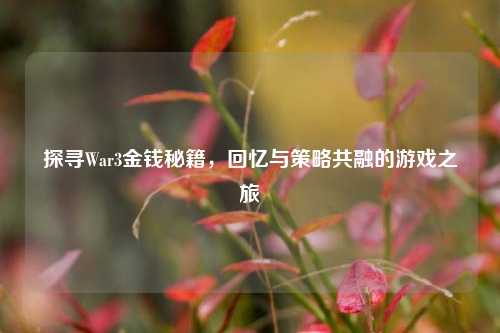 探寻War3金钱秘籍，回忆与策略共融的游戏之旅