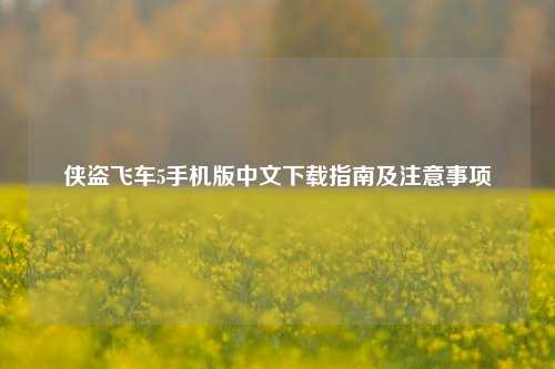 侠盗飞车5手机版中文下载指南及注意事项