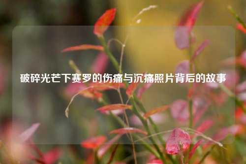 破碎光芒下赛罗的伤痛与沉痛照片背后的故事