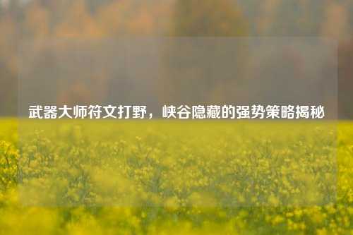 武器大师符文打野，峡谷隐藏的强势策略揭秘