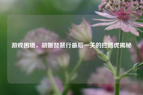 游戏困境，胡姬琵琶行最后一关的拦路虎揭秘