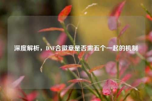 深度解析，DNF合徽章是否需五个一起的机制