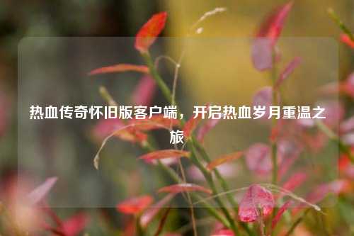 热血传奇怀旧版客户端，开启热血岁月重温之旅