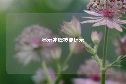 显示冲锋技能提示