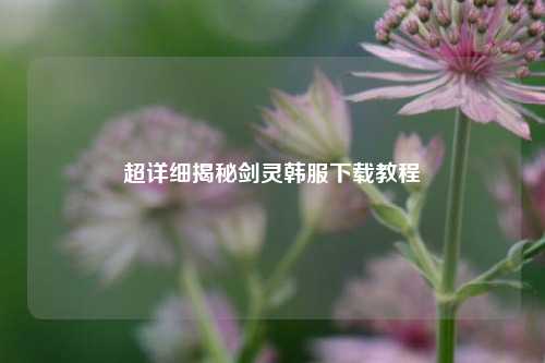 超详细揭秘剑灵韩服下载教程