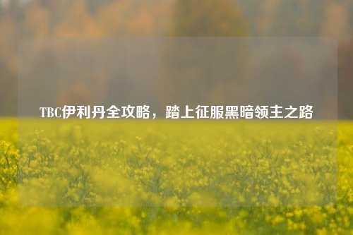 TBC伊利丹全攻略，踏上征服黑暗领主之路