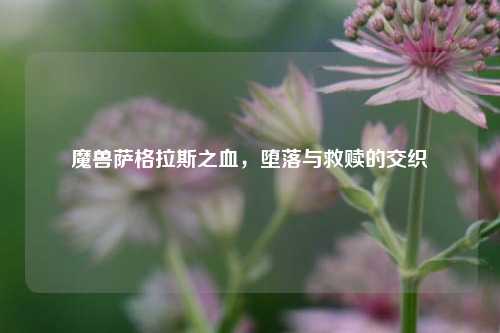 魔兽萨格拉斯之血，堕落与救赎的交织