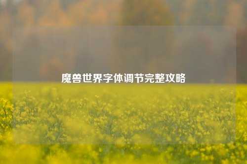 魔兽世界字体调节完整攻略