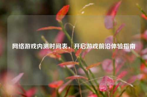 网络游戏内测时间表，开启游戏前沿体验指南