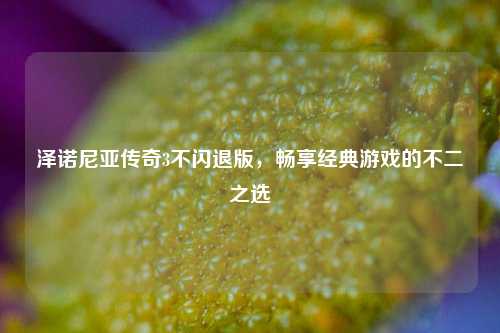泽诺尼亚传奇3不闪退版，畅享经典游戏的不二之选
