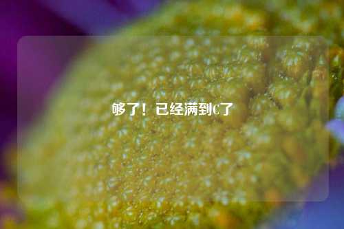 够了！已经满到C了