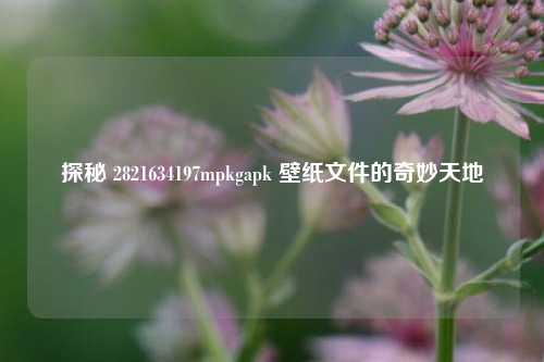 探秘 2821634197mpkgapk 壁纸文件的奇妙天地