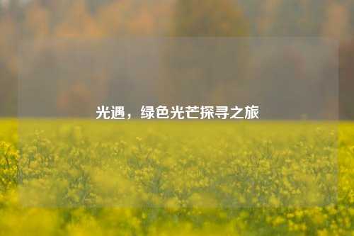 光遇，绿色光芒探寻之旅
