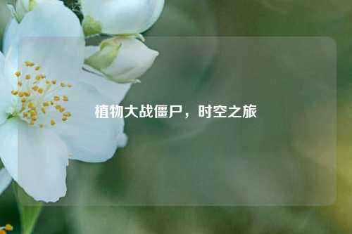 植物大战僵尸，时空之旅