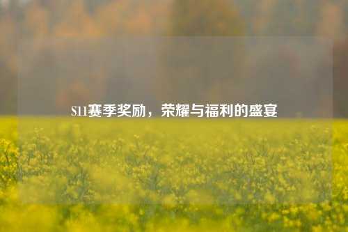 S11赛季奖励，荣耀与福利的盛宴