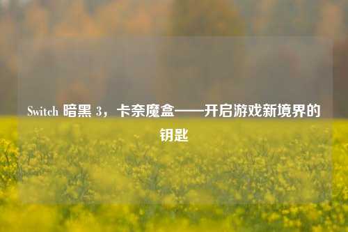 Switch 暗黑 3，卡奈魔盒——开启游戏新境界的钥匙