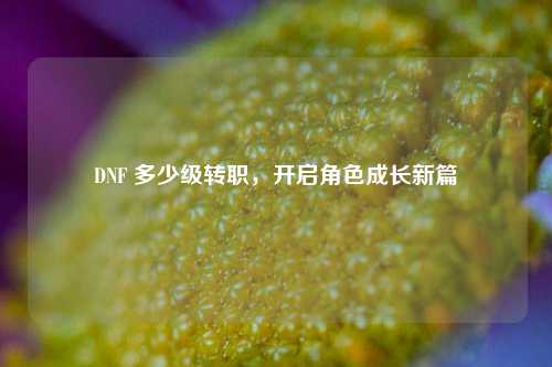 DNF 多少级转职，开启角色成长新篇