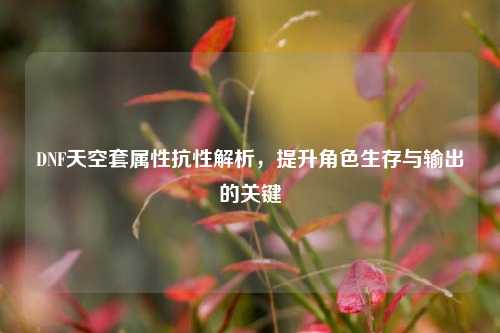 DNF天空套属性抗性解析，提升角色生存与输出的关键