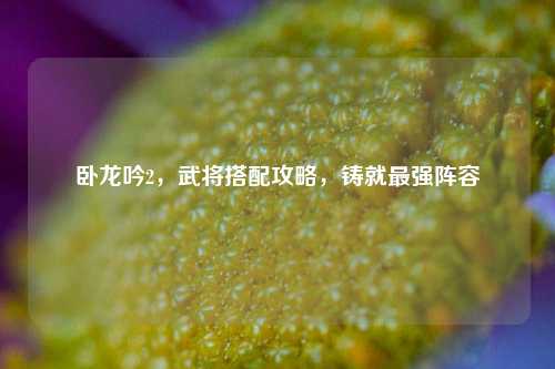 卧龙吟2，武将搭配攻略，铸就最强阵容