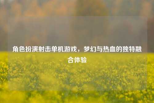 角色扮演射击单机游戏，梦幻与热血的独特融合体验