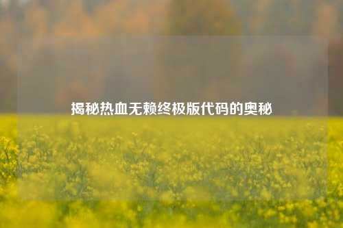 揭秘热血无赖终极版代码的奥秘