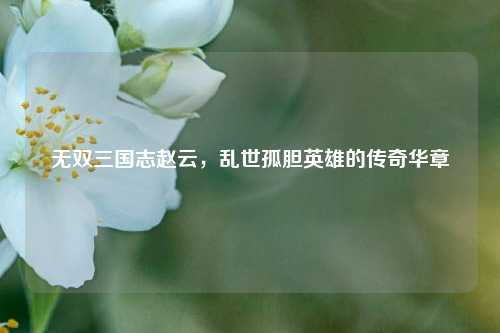 无双三国志赵云，乱世孤胆英雄的传奇华章