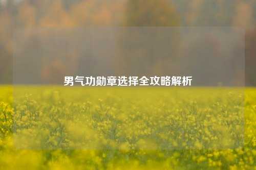 男气功勋章选择全攻略解析