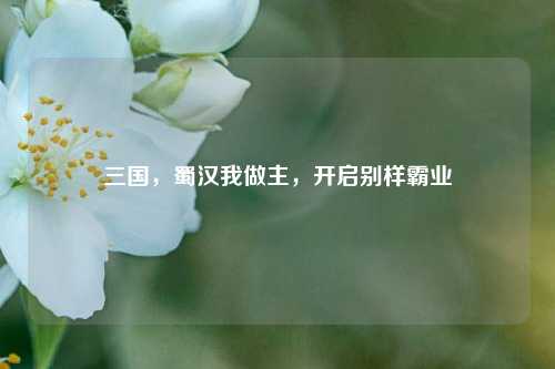 三国，蜀汉我做主，开启别样霸业