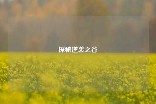 探秘逆袭之谷