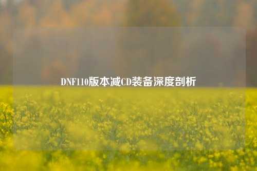 DNF110版本减CD装备深度剖析