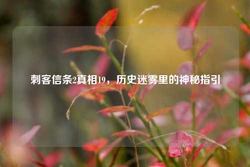 刺客信条2真相19，历史迷雾里的神秘指引