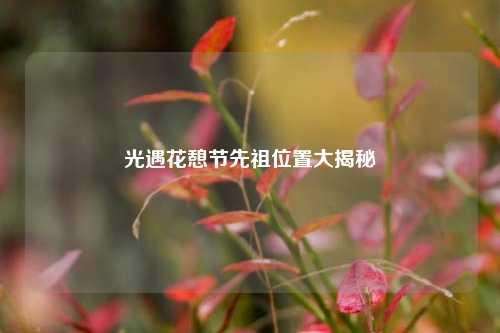 光遇花憩节先祖位置大揭秘