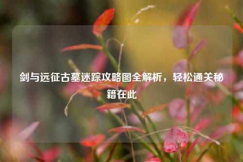剑与远征古墓迷踪攻略图全解析，轻松通关秘籍在此
