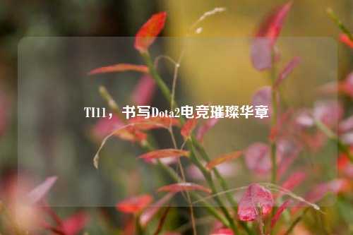 TI11，书写Dota2电竞璀璨华章