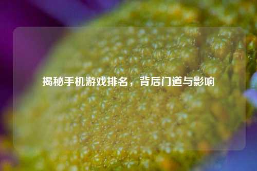 揭秘手机游戏排名，背后门道与影响