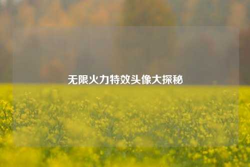 无限火力特效头像大探秘