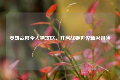 英雄战姬全人物攻略，开启战姬世界精彩冒险