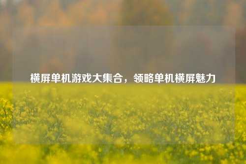 横屏单机游戏大集合，领略单机横屏魅力