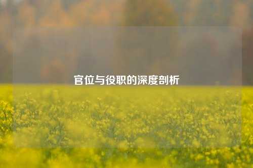官位与役职的深度剖析