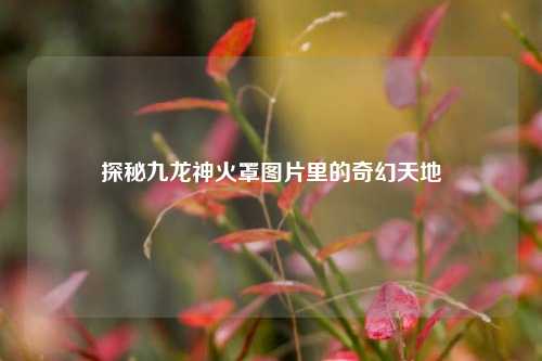 探秘九龙神火罩图片里的奇幻天地