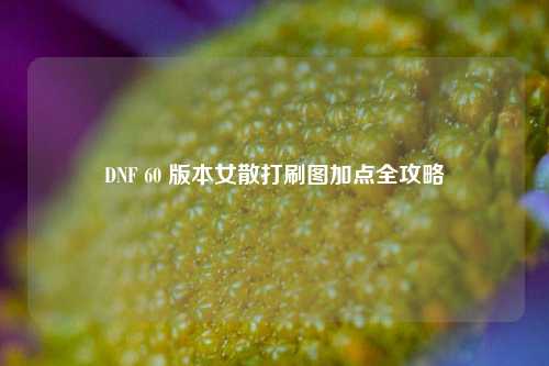 DNF 60 版本女散打刷图加点全攻略
