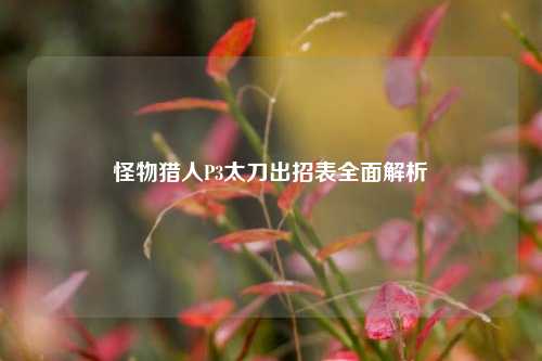 怪物猎人P3太刀出招表全面解析