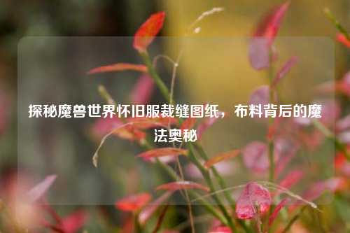 探秘魔兽世界怀旧服裁缝图纸，布料背后的魔法奥秘