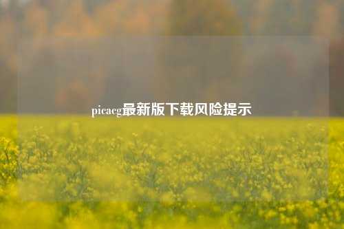 picacg最新版下载风险提示