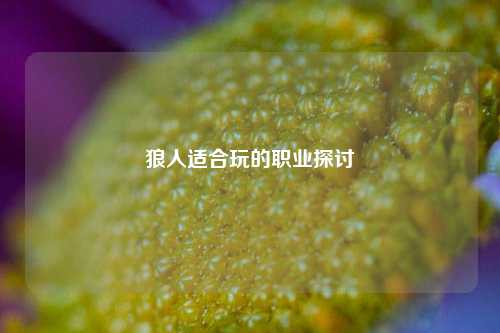 狼人适合玩的职业探讨