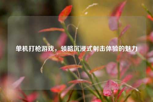 单机打枪游戏，领略沉浸式射击体验的魅力
